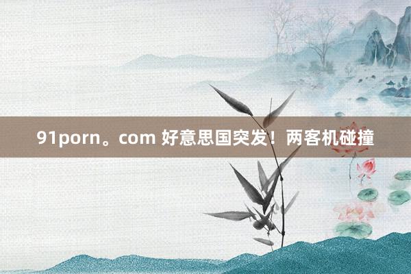 91porn。com 好意思国突发！两客机碰撞