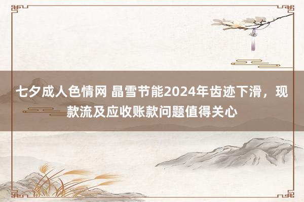 七夕成人色情网 晶雪节能2024年齿迹下滑，现款流及应收账款问题值得关心