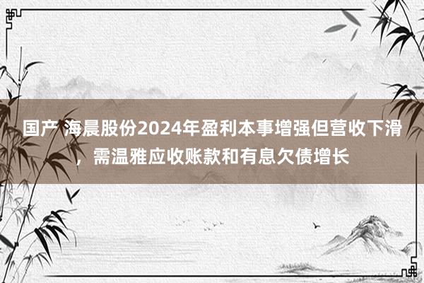 国产 海晨股份2024年盈利本事增强但营收下滑，需温雅应收账款和有息欠债增长
