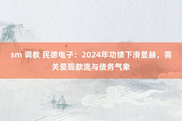 sm 调教 民德电子：2024年功绩下滑显赫，需关爱现款流与债务气象
