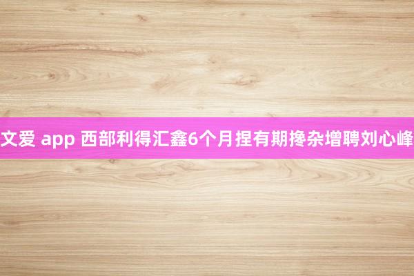 文爱 app 西部利得汇鑫6个月捏有期搀杂增聘刘心峰