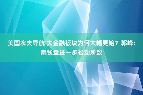 美国农夫导航 大金融板块为何大幅更始?郭峰:赚钱盘进一步松动所致