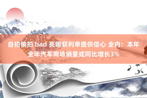 自拍偷拍 bad 亮眼获利单提供信心 业内：本年全年汽车商场销量或同比增长3%