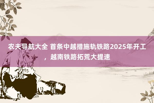 农夫导航大全 首条中越措施轨铁路2025年开工，越南铁路拓荒大提速