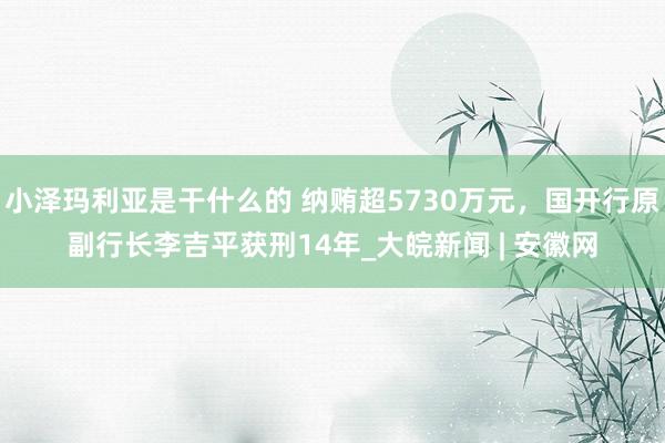 小泽玛利亚是干什么的 纳贿超5730万元，国开行原副行长李吉平获刑14年_大皖新闻 | 安徽网