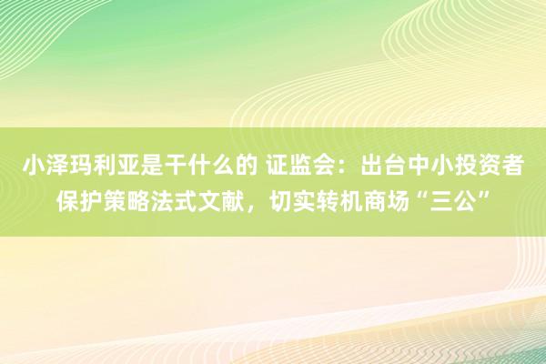 小泽玛利亚是干什么的 证监会：出台中小投资者保护策略法式文献，切实转机商场“三公”