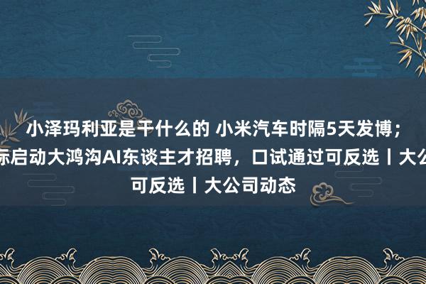 小泽玛利亚是干什么的 小米汽车时隔5天发博；阿里国际启动大鸿沟AI东谈主才招聘，口试通过可反选丨大公司动态