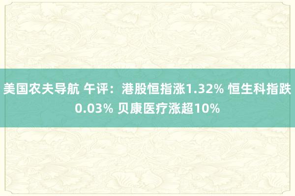 美国农夫导航 午评：港股恒指涨1.32% 恒生科指跌0.03% 贝康医疗涨超10%