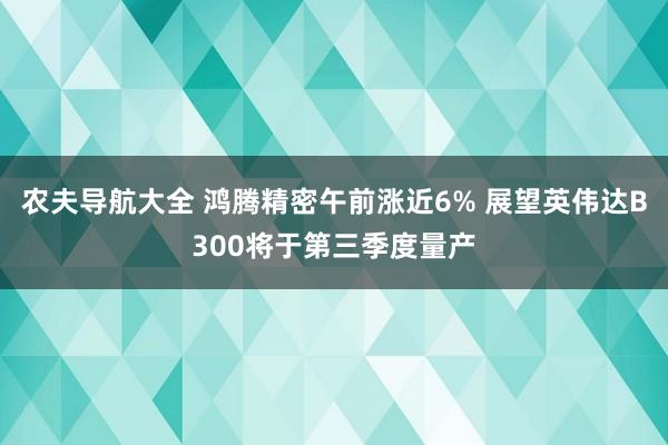 农夫导航大全 鸿腾精密午前涨近6% 展望英伟达B300将于第三季度量产
