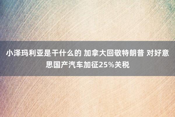 小泽玛利亚是干什么的 加拿大回敬特朗普 对好意思国产汽车加征25%关税