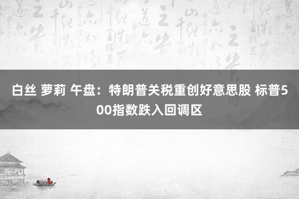 白丝 萝莉 午盘：特朗普关税重创好意思股 标普500指数跌入回调区