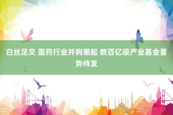 白丝足交 医药行业并购潮起 数百亿级产业基金蓄势待发