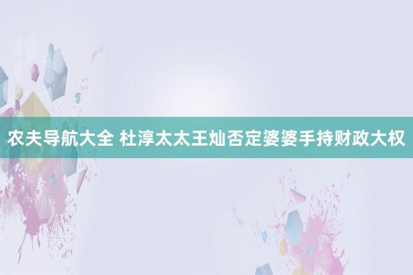 农夫导航大全 杜淳太太王灿否定婆婆手持财政大权