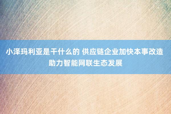 小泽玛利亚是干什么的 供应链企业加快本事改造 助力智能网联生态发展