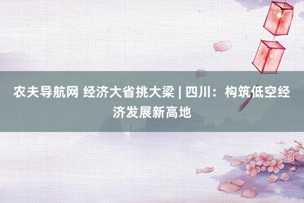 农夫导航网 经济大省挑大梁 | 四川：构筑低空经济发展新高地