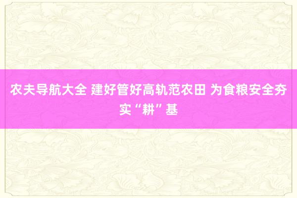 农夫导航大全 建好管好高轨范农田 为食粮安全夯实“耕”基